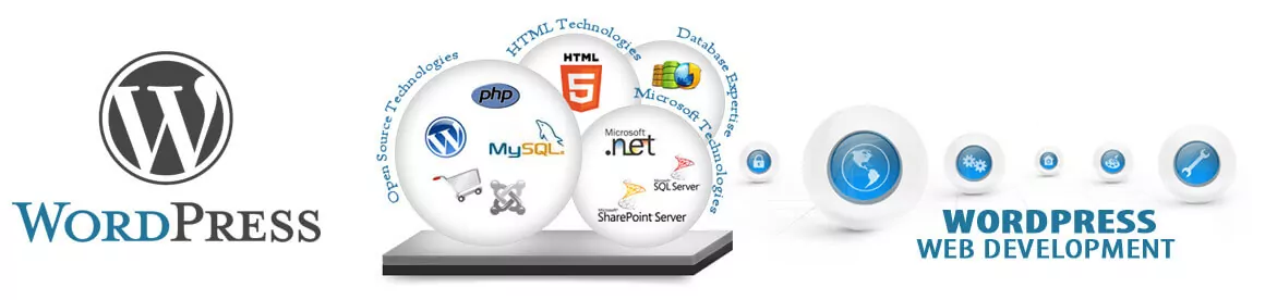 Expert-en-wordpress-developement-Assistance-wordpress